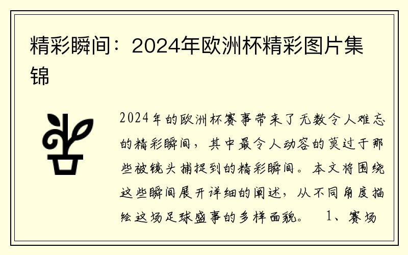 精彩瞬间：2024年欧洲杯精彩图片集锦